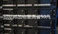 印尼邦加物里洞省50几岁巨型鳄鱼被村民认为是“恶魔的化身”遭斩首肢解